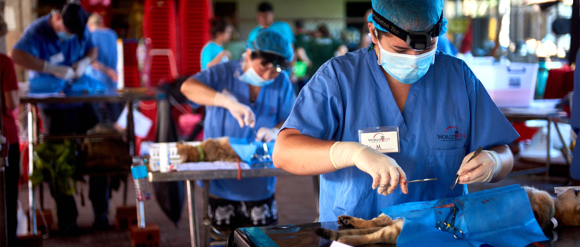 JPA students working with World Vets. Jay Pritzker Academy, Siem Reap, Cambodia. Jay-Pritzker-Academy-Siem-Reap-Cambodia.