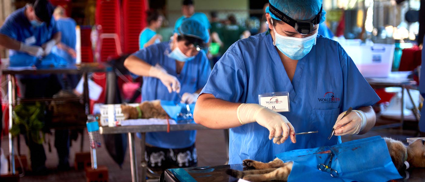 The World Vets visit to Siem Reap, Cambodia assisted by JPA students. Jay Pritzker Academy, Siem Reap, Cambodia. Jay-Pritzker-Academy-Siem-Reap-Cambodia